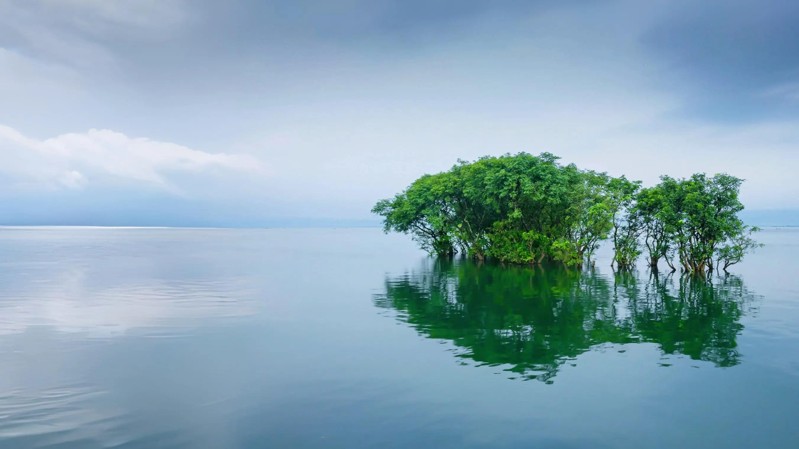 Dream of a Green Sustainable Bangladesh